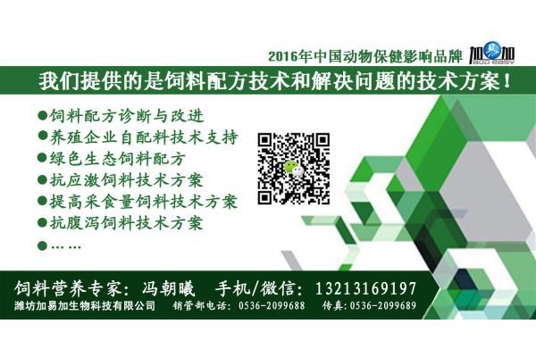 2025年4月第三周养禽业重要新闻摘要