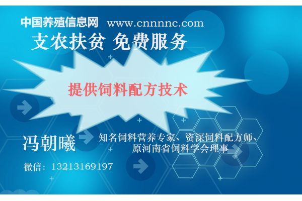 吉林省免费优质肉牛冻精改良的犊牛陆续降生