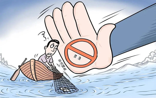 广州打击流溪河非法捕捞行为